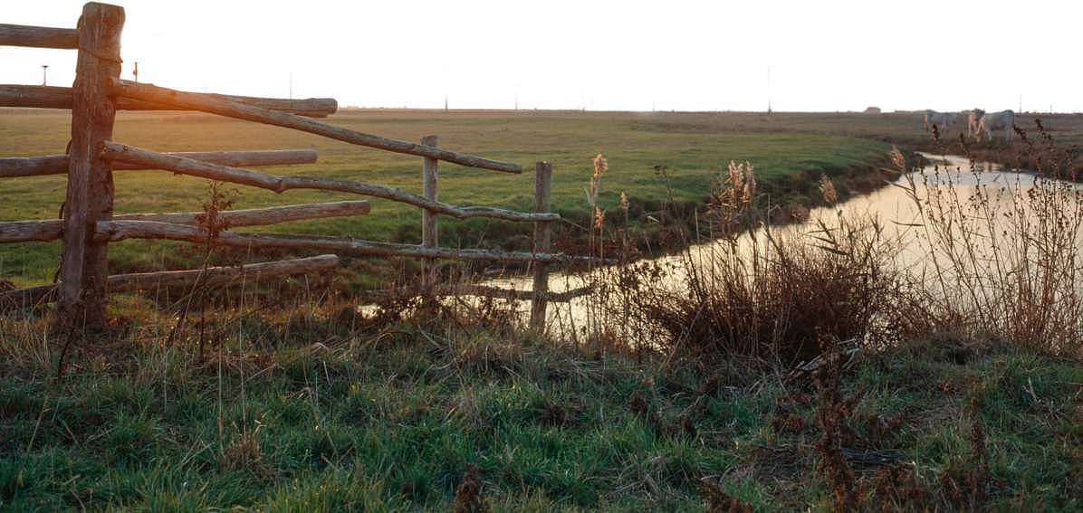 Landschaft beim Züchter