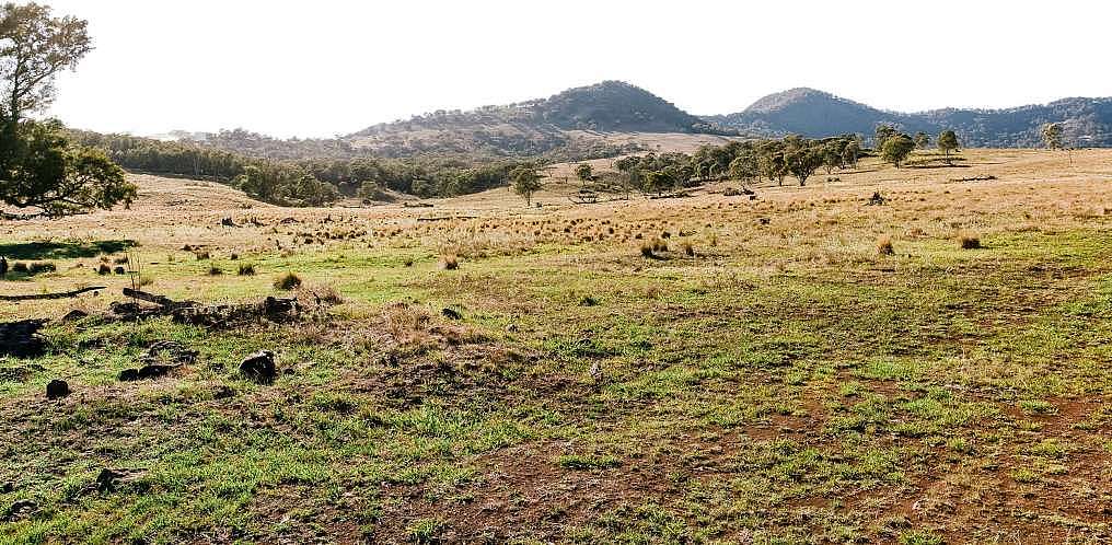 Landschaft der Jack's Creek Ranch