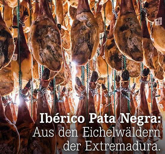 Verpasst? Pata Negra