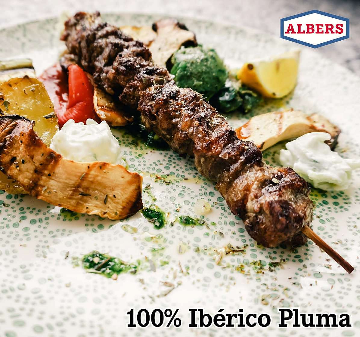 100% Ibérico Pluma.