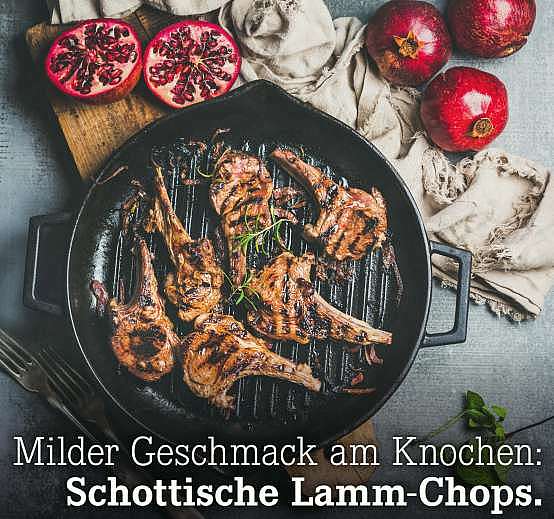 header_lamm-chops_2017-10_v1