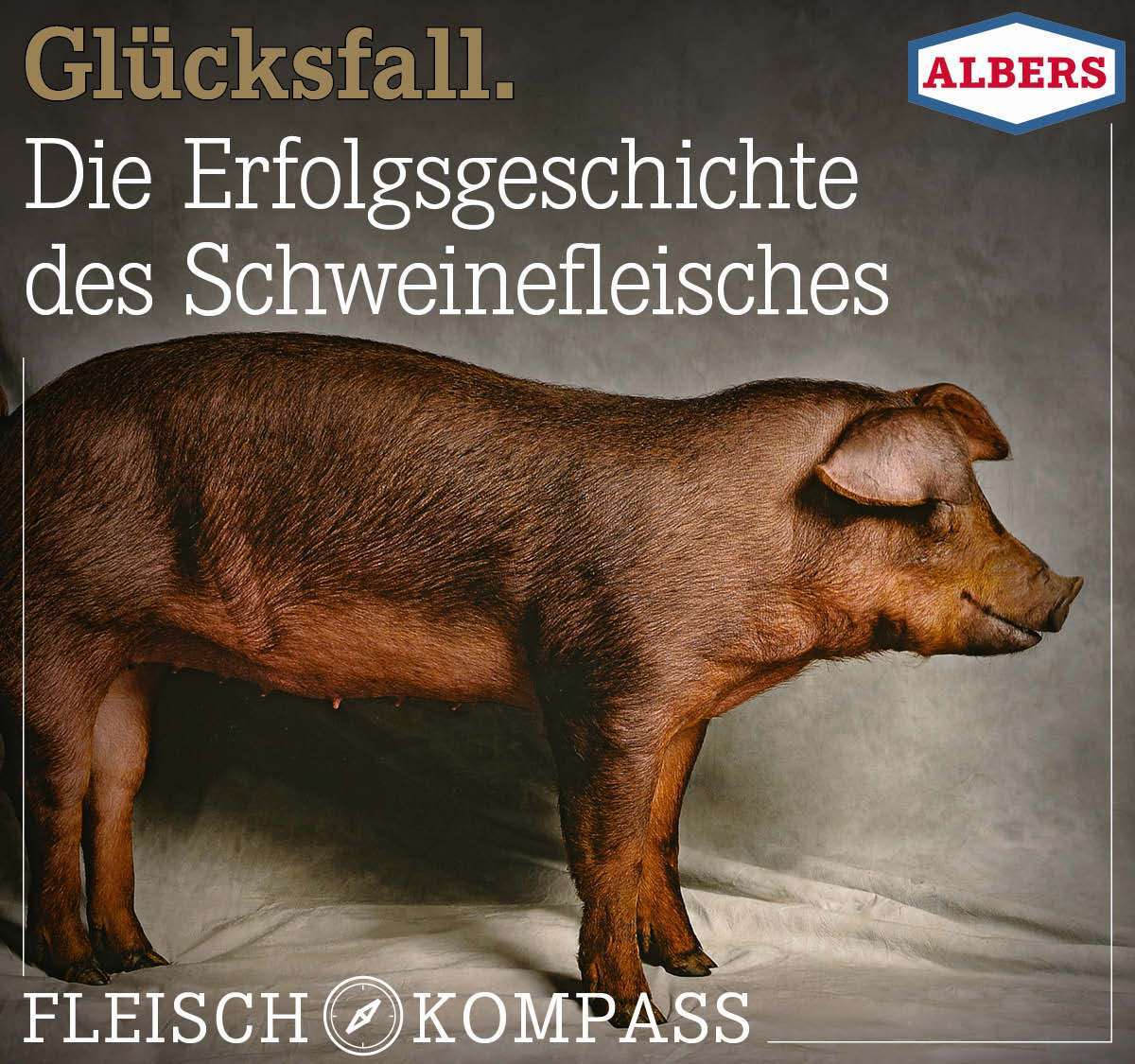 Glücksfall. Die Erfolgsgeschichte des Schweinefleisches