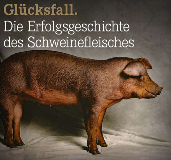 Wann%20wurde%20das%20Schwein%20zum%20wichtigsten%20Fleisch-Nutztier%3F